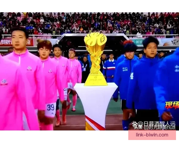 湘超联赛直播观看方式及平台资源全攻略